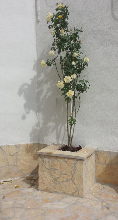 Nina Apartment سبليت الغرفة الصورة